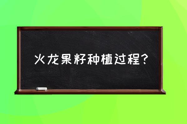 火龙果籽怎么种植 火龙果籽种植过程？