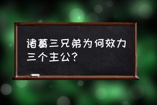 三国诸葛三兄弟 诸葛三兄弟为何效力三个主公？