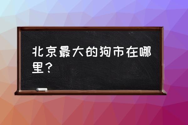 北京最大的狗市在哪 北京最大的狗市在哪里？