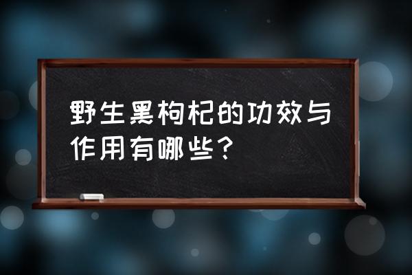 泡野生黑枸杞的功效 野生黑枸杞的功效与作用有哪些？