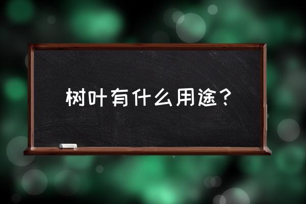 树叶的功能作用是什么 树叶有什么用途？