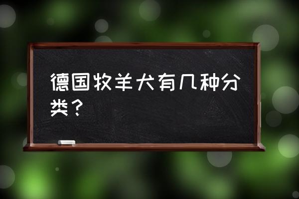 德国牧羊犬的四大品种 德国牧羊犬有几种分类？