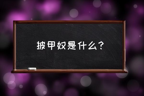 清朝宁古塔披甲人 披甲奴是什么？