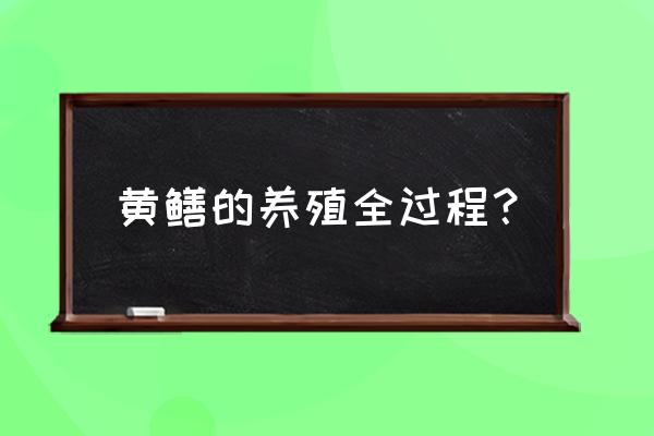 黄鳝养殖技术 黄鳝的养殖全过程？