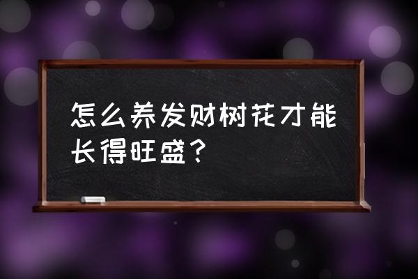 发财树怎么养才茂盛 怎么养发财树花才能长得旺盛？