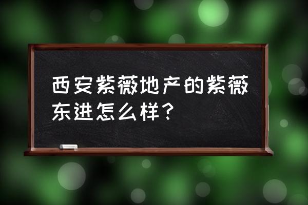 西安紫薇东进 西安紫薇地产的紫薇东进怎么样？