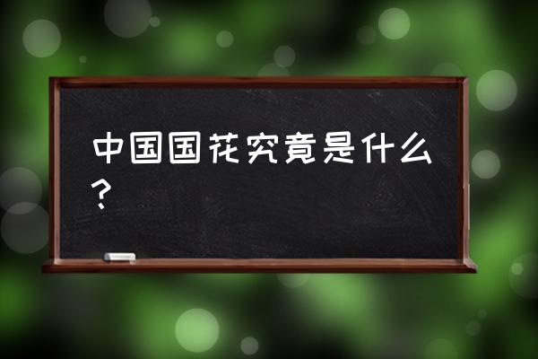 中国的国花叫什么名字 中国国花究竟是什么？