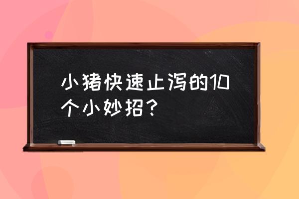 止泻的十个小妙招 小猪快速止泻的10个小妙招？