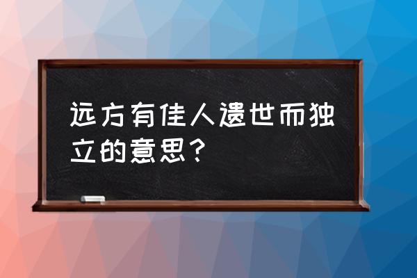 什么有佳人 遗世而独立 远方有佳人遗世而独立的意思？