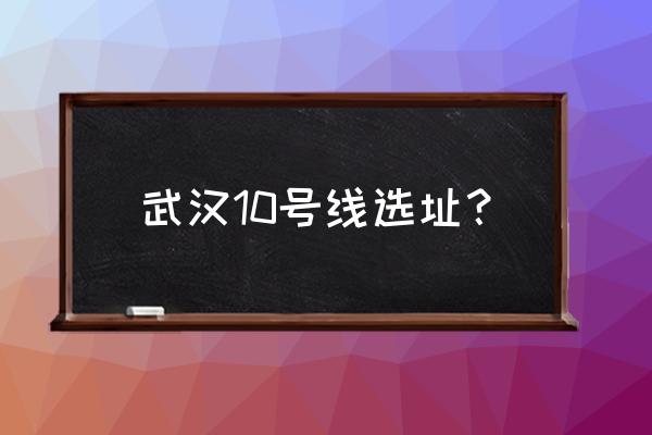 武汉十号线二期 武汉10号线选址？