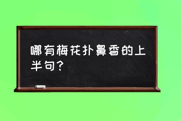 怎得梅花扑鼻香前面一句 哪有梅花扑鼻香的上半句？