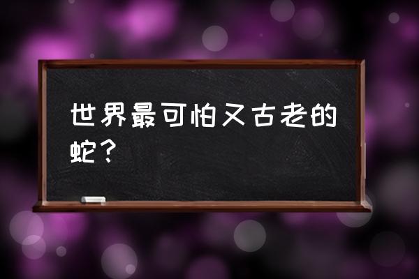 最古老的蛇 世界最可怕又古老的蛇？