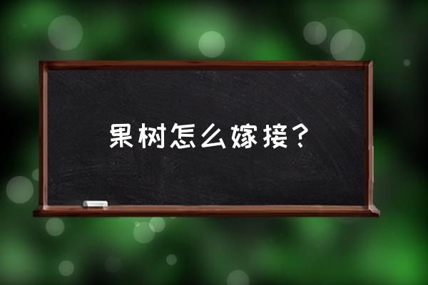 果树嫁接怎么嫁接 果树怎么嫁接？