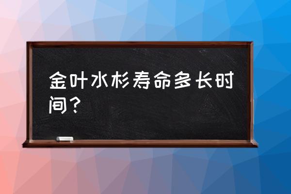 金叶水杉简介 金叶水杉寿命多长时间？