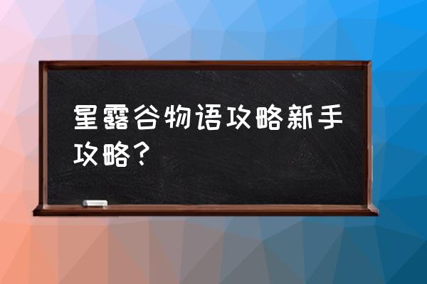 星露谷物语详细攻略 星露谷物语攻略新手攻略？