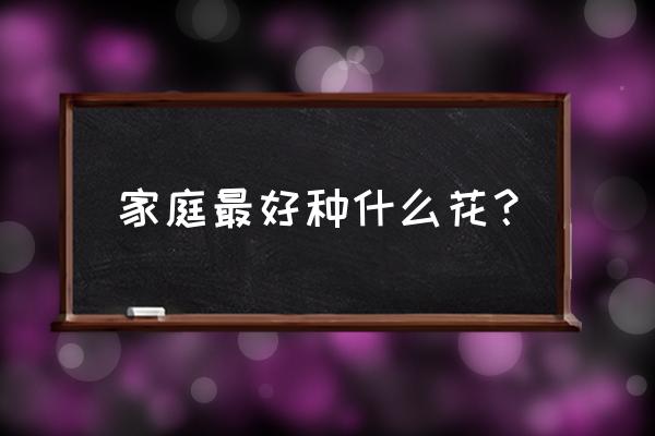 家里栽什么花最好 家庭最好种什么花？