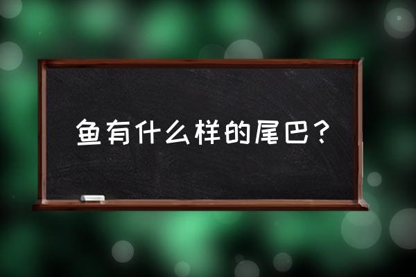 鱼的尾巴像什么有什么作用 鱼有什么样的尾巴？