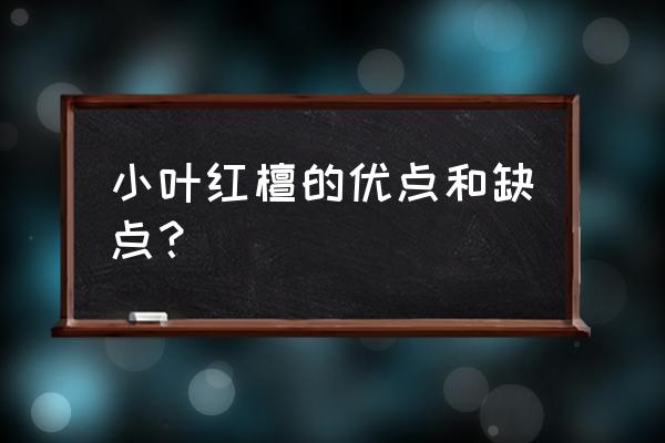 小叶红檀是什么木头 小叶红檀的优点和缺点？