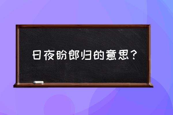 日夜盼待主人归是什么意思 日夜盼郎归的意思？