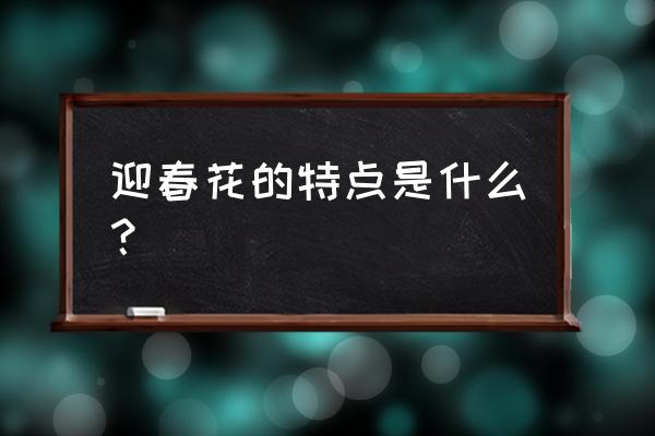 迎春花特点简单 迎春花的特点是什么？