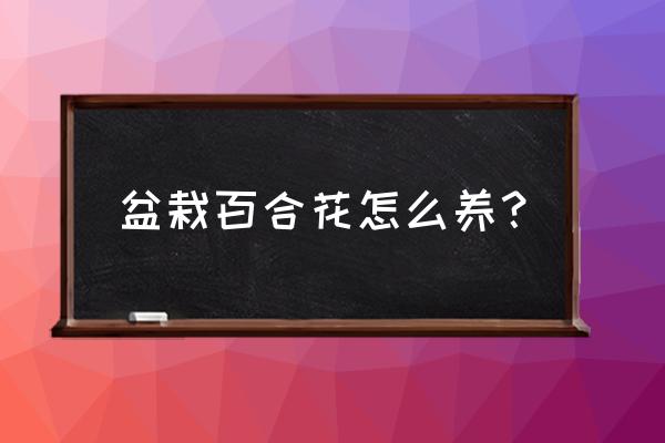 盆栽百合花怎么养 盆栽百合花怎么养？