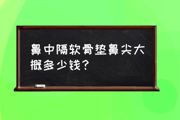 垫个鼻子需要多少钱 鼻中隔软骨垫鼻尖大概多少钱？