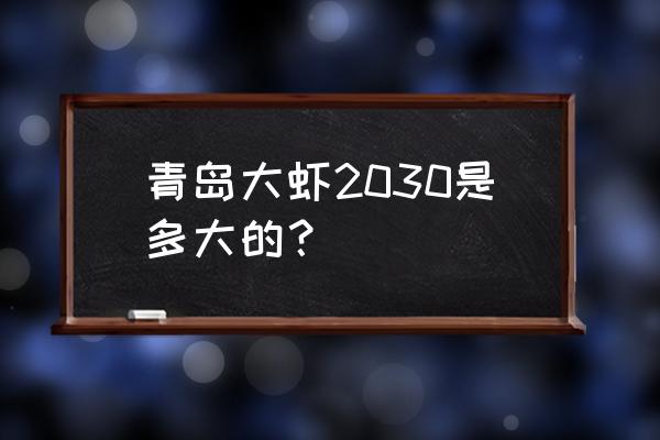 青岛大虾有多大 青岛大虾2030是多大的？