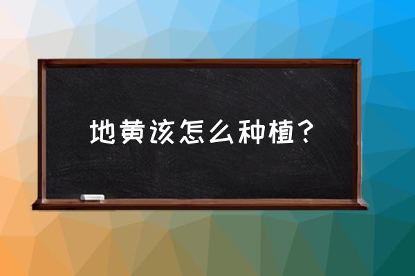 地黄的种植方法 地黄该怎么种植？