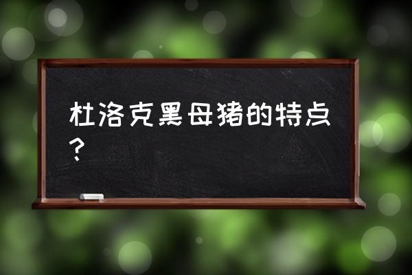 西班牙杜洛克黑猪 杜洛克黑母猪的特点？