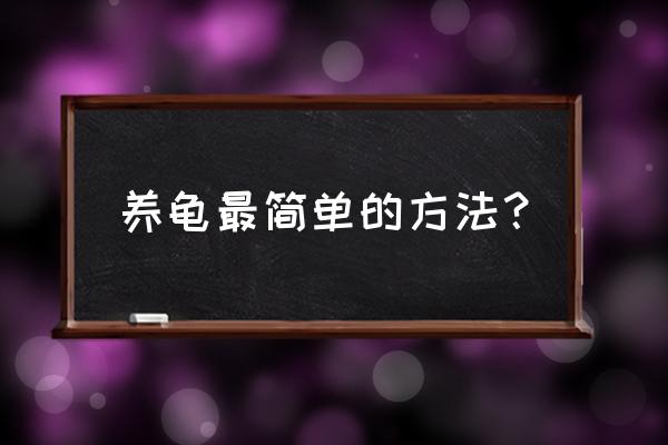 如何养乌龟最简单的方法 养龟最简单的方法？