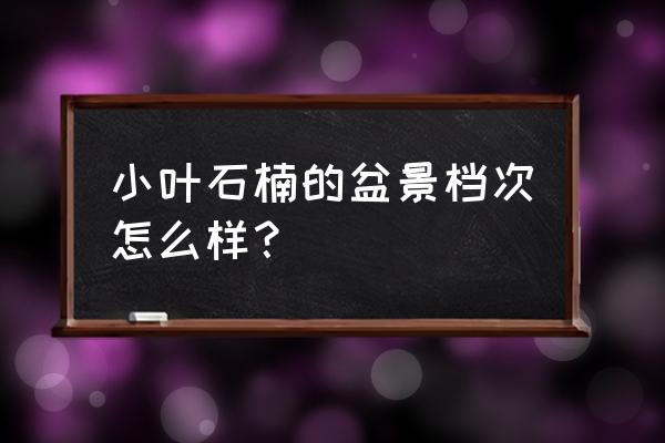 小叶石楠样子 小叶石楠的盆景档次怎么样？