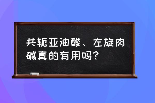 左旋肉碱真的没用吗 共轭亚油酸、左旋肉碱真的有用吗？