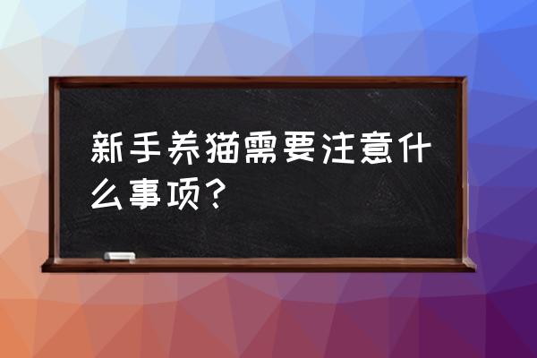 新手养猫的注意事项 新手养猫需要注意什么事项？