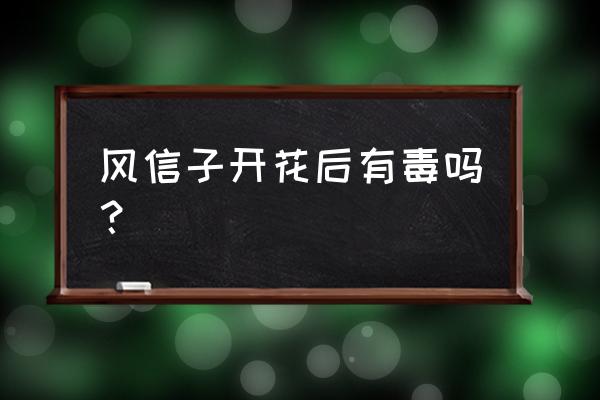 风信子开花了有毒吗 风信子开花后有毒吗？