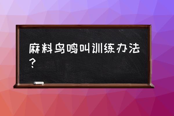 马料叫声麻料鸟叫声 麻料鸟鸣叫训练办法？