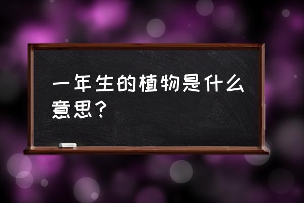 一年生植物到底有哪些 一年生的植物是什么意思？