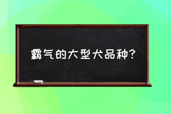 大型犬都有哪些品种 霸气的大型犬品种？