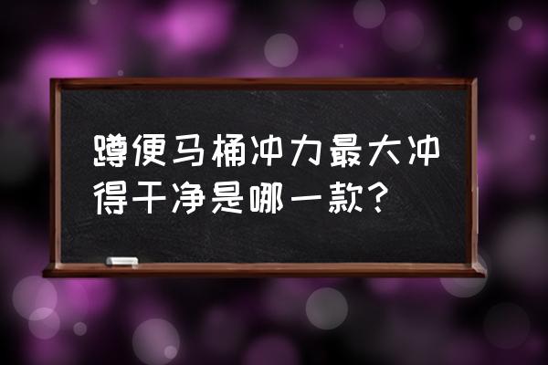 蹲坐两用马桶有几种 蹲便马桶冲力最大冲得干净是哪一款？