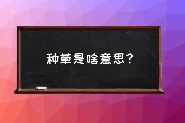 种草到底是啥意思 种草是啥意思？