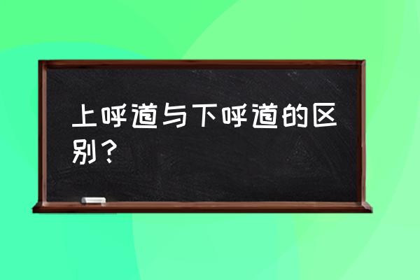 上呼吸道与下呼吸道分界线 上呼道与下呼道的区别？