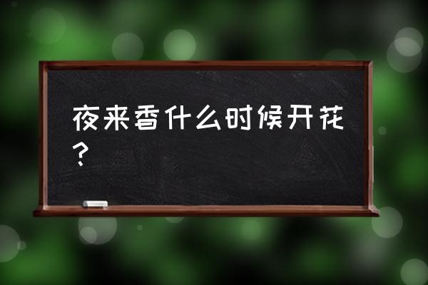 夜来香开花过程 夜来香什么时候开花？