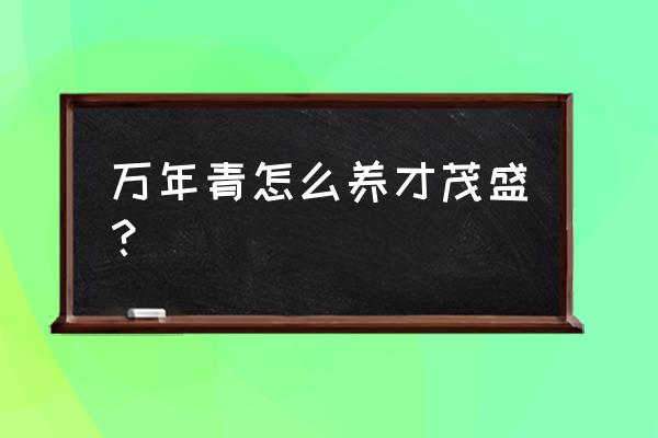 万年青怎么养才茂盛 万年青怎么养才茂盛？