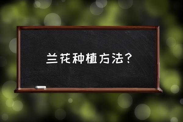 兰花的种植方法和技巧 兰花种植方法？