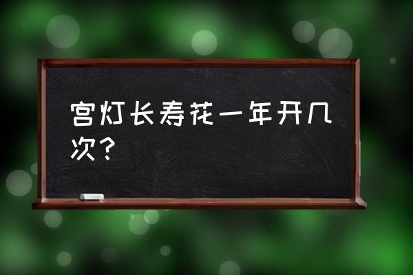 宫灯长寿花一年开几次 宫灯长寿花一年开几次？