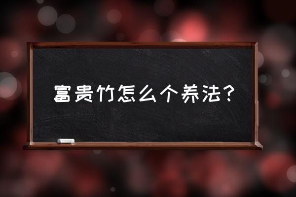 富贵竹的正确养法 富贵竹怎么个养法？