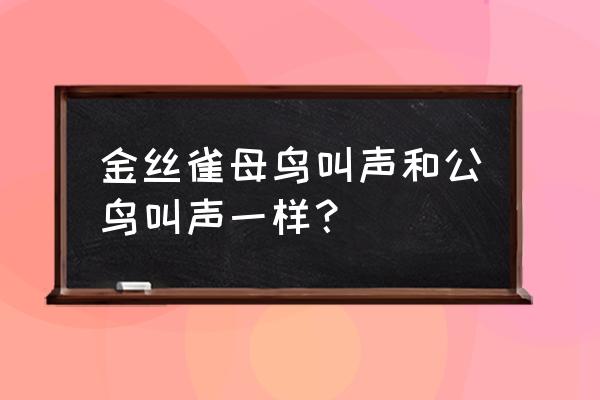 金丝雀公鸟叫声 金丝雀母鸟叫声和公鸟叫声一样？