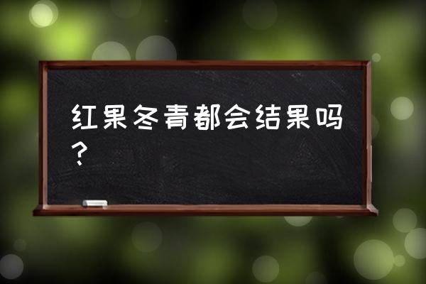 红果冬青有几种 红果冬青都会结果吗？