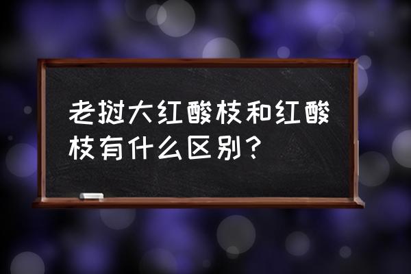 老挝红酸枝和大红酸枝区别 老挝大红酸枝和红酸枝有什么区别？