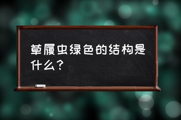 草履虫的十个结构 草履虫绿色的结构是什么？