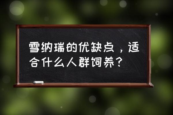 雪纳瑞适合什么人养 雪纳瑞的优缺点，适合什么人群饲养？